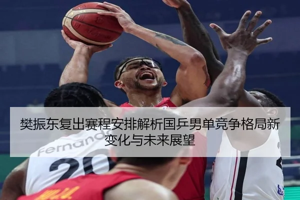 fan-zhen-dong-fu-chu-sai-cheng-an-pai-jie-xi-guo-ping-nan-dan-jing-zheng-ge-ju-xin-bian-hua-yu-wei-lai-zhan-wang-2-707.jpg